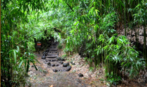 hiking through Bach Ma national park, hue, vietnam